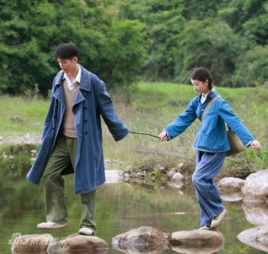 山楂樹之戀 (2010)