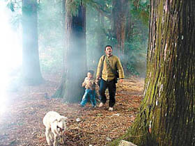 The Forest Ranger (2006)